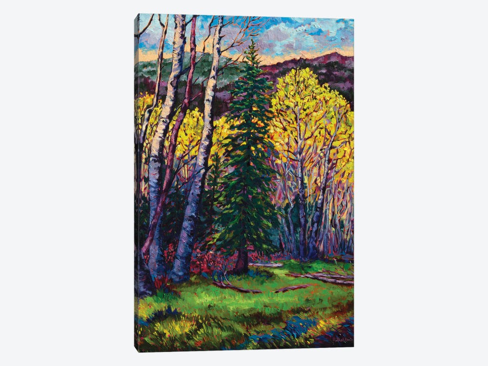 High Country Spring by Rebecca Baldwin 1-piece Canvas Wall Art