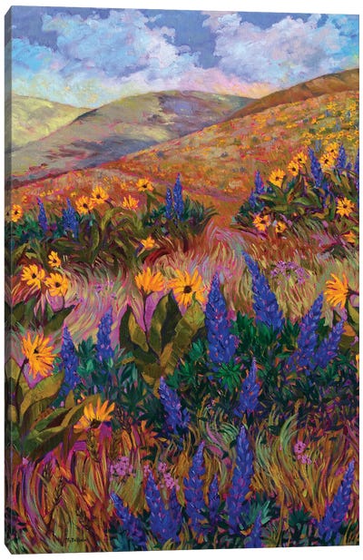 Columbia River Hills Canvas Art Print - Hill & Hillside Art