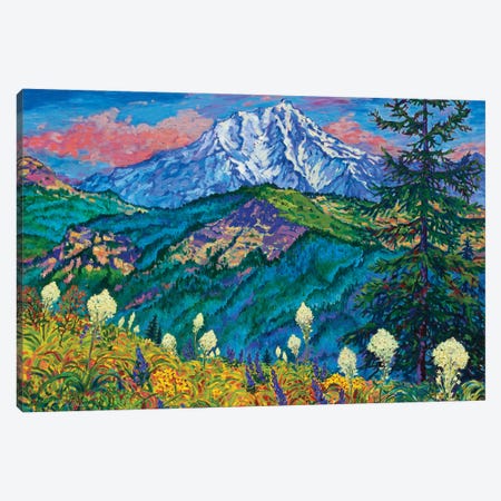 Mountain Splendor Canvas Print #RBC34} by Rebecca Baldwin Canvas Art Print