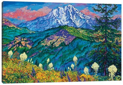 Mountain Splendor Canvas Art Print - Rebecca Baldwin