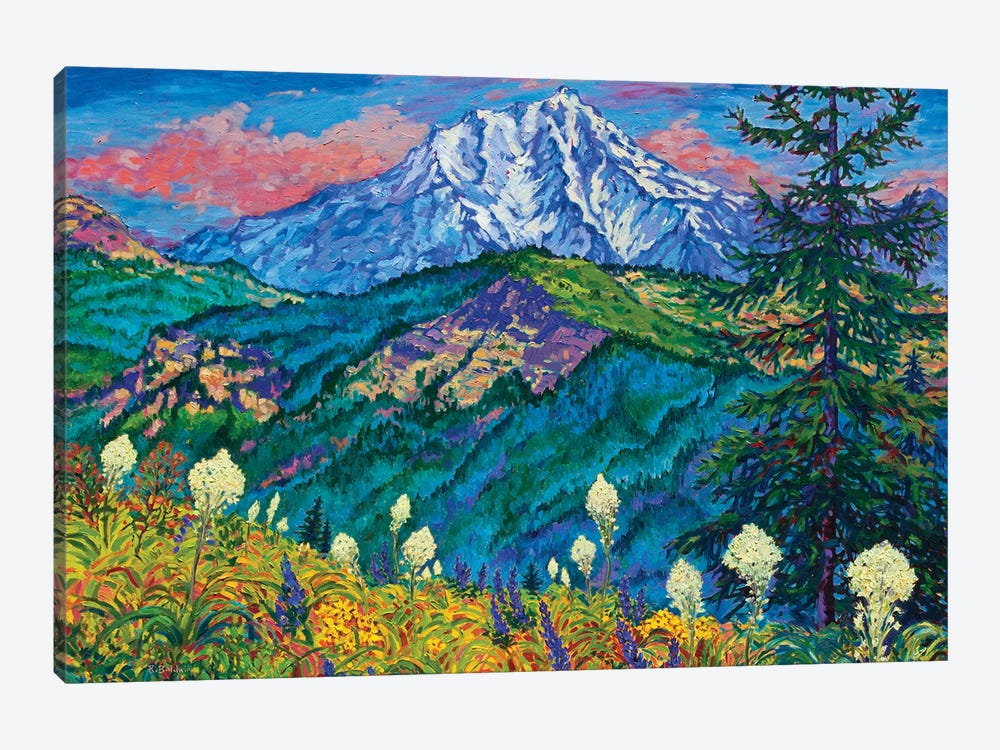 Mountain Splendor by Rebecca Baldwin 1-piece Canvas Art