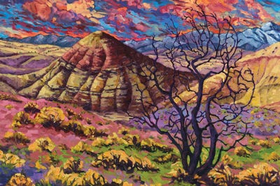 Painted Hills by Rebecca Baldwin acrylic art print