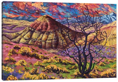 Painted Hills Canvas Art Print - Rebecca Baldwin