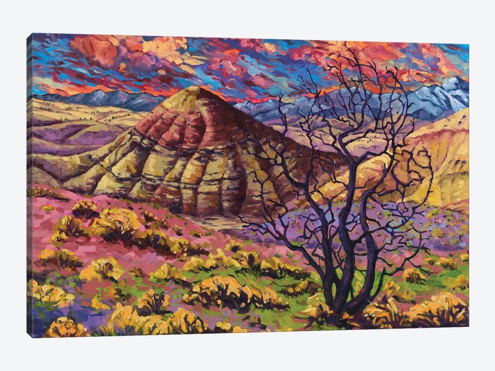 Painted Hills by Rebecca Baldwin 1-piece Canvas Artwork
