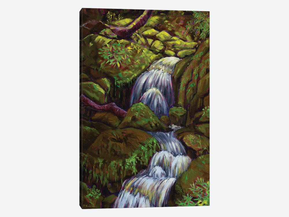 Babbling Brook by Rebecca Baldwin 1-piece Canvas Art
