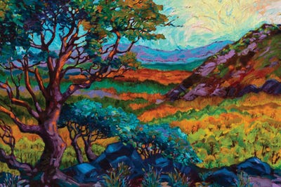 Steens Mountain Color by Rebecca Baldwin acrylic art print