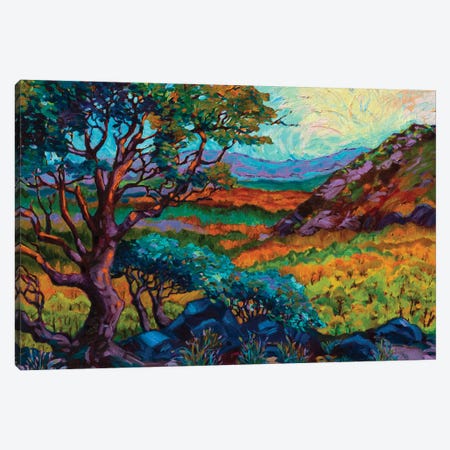 Steens Mountain Color Canvas Print #RBC49} by Rebecca Baldwin Canvas Art Print