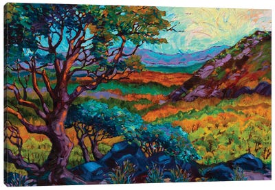 Steens Mountain Color Canvas Art Print