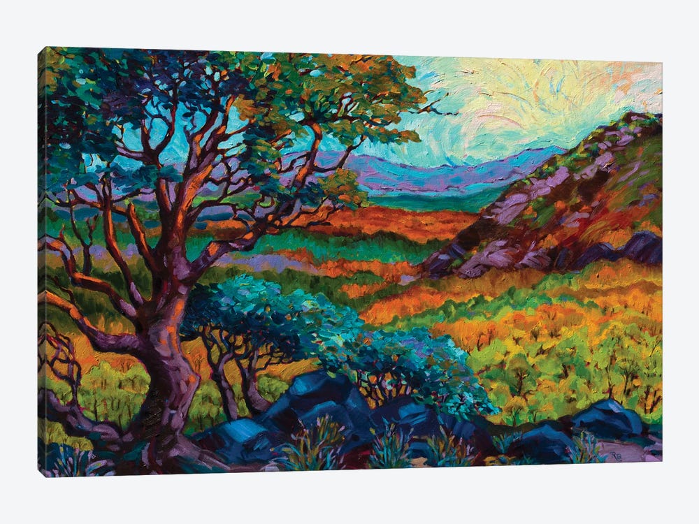 Steens Mountain Color by Rebecca Baldwin 1-piece Canvas Art
