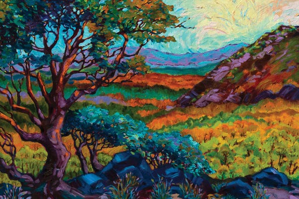 Rebecca Baldwin: Steens Mountain Color by Rebecca Baldwin