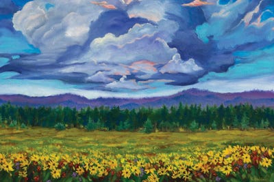 Big Summit Prairie by Rebecca Baldwin acrylic art print