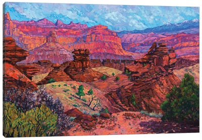 Sunset Point Canvas Art Print - Desert Art