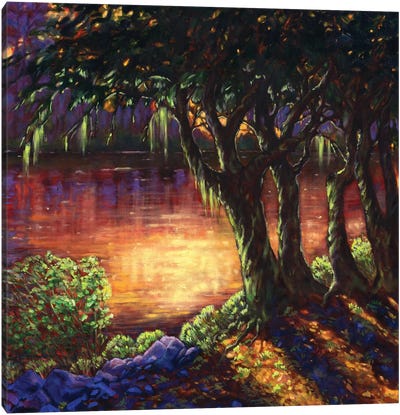 Summer Dreams Canvas Art Print - Cypress Tree Art