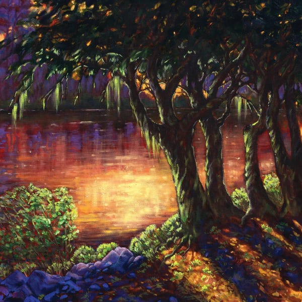 Cypress Trees: Summer Dreams by Rebecca Baldwin