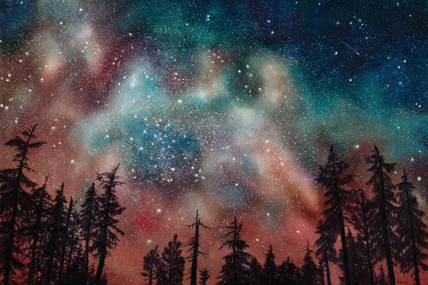 Pine Trees: To Infinity And Beyond by Rebecca Baldwin