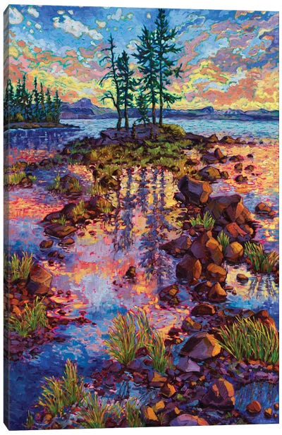 Waldo Lake Reverie Canvas Art Print - Pine Tree Art