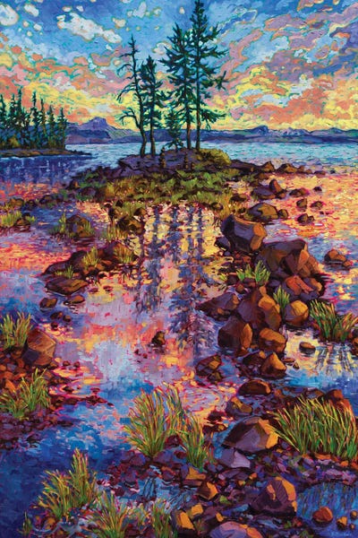 Pine Trees: Waldo Lake Reverie by Rebecca Baldwin