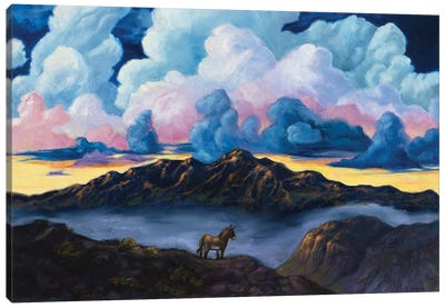 Wild And Free Canvas Art Print - Donkey Art