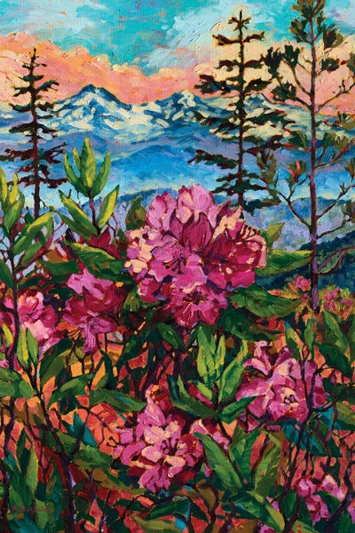 Rhododendrons