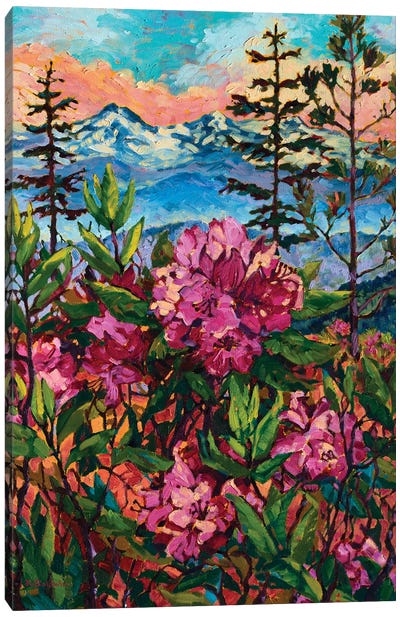 Wild Rhodies Canvas Art Print - Landscapes in Bloom