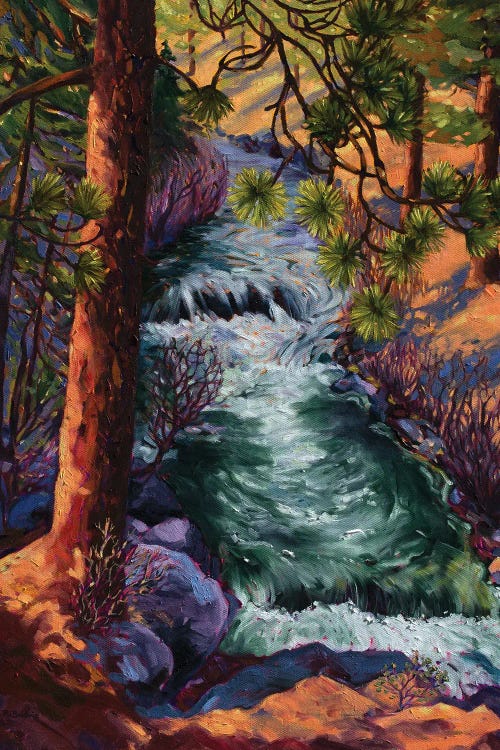 Whychus Creek by Rebecca Baldwin wall art
