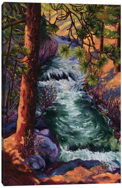 Whychus Creek Canvas Art Print - Rebecca Baldwin