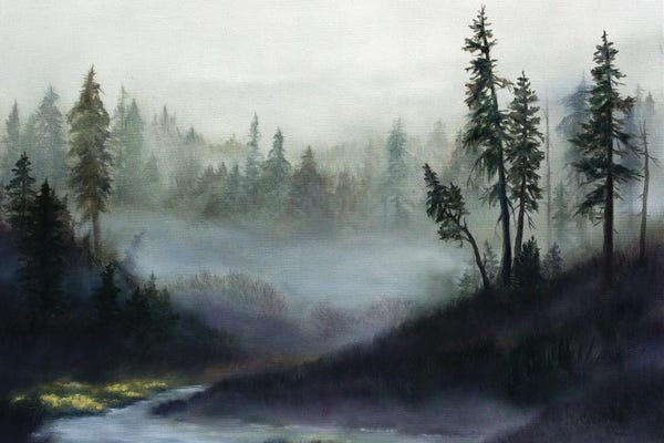 Pine Trees: Silent Music by Rebecca Baldwin