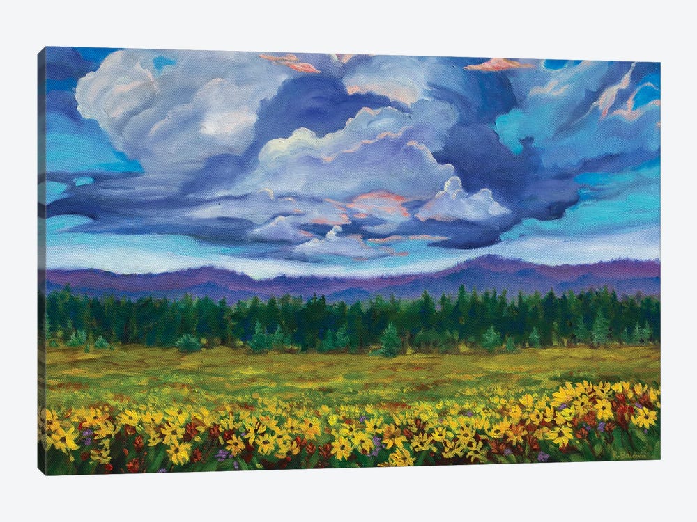 Big Summit Prairie by Rebecca Baldwin 1-piece Canvas Wall Art