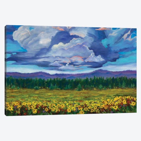 Big Summit Prairie Canvas Print #RBC5} by Rebecca Baldwin Canvas Print