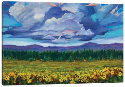 Big Summit Prairie Canvas Art Print - Artists Like Van Gogh