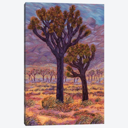 Mojave Storm Canvas Print #RBC61} by Rebecca Baldwin Canvas Print