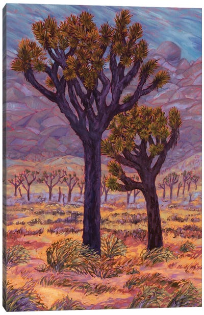 Mojave Storm Canvas Art Print