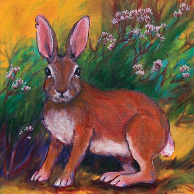 Backyard Bunny by Rebecca Baldwin metal wall art