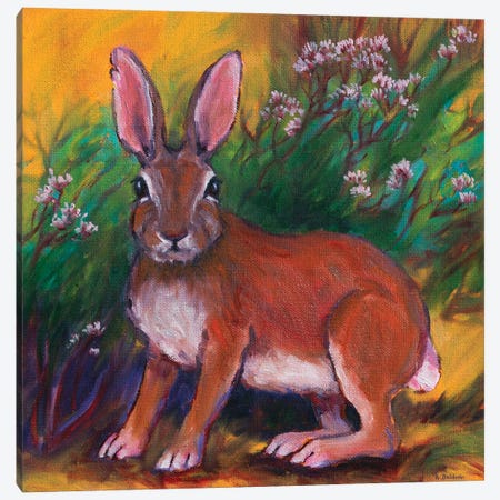 Backyard Bunny Canvas Print #RBC67} by Rebecca Baldwin Canvas Wall Art