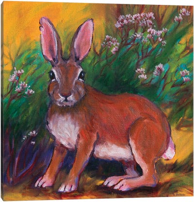 Backyard Bunny Canvas Art Print - Rebecca Baldwin