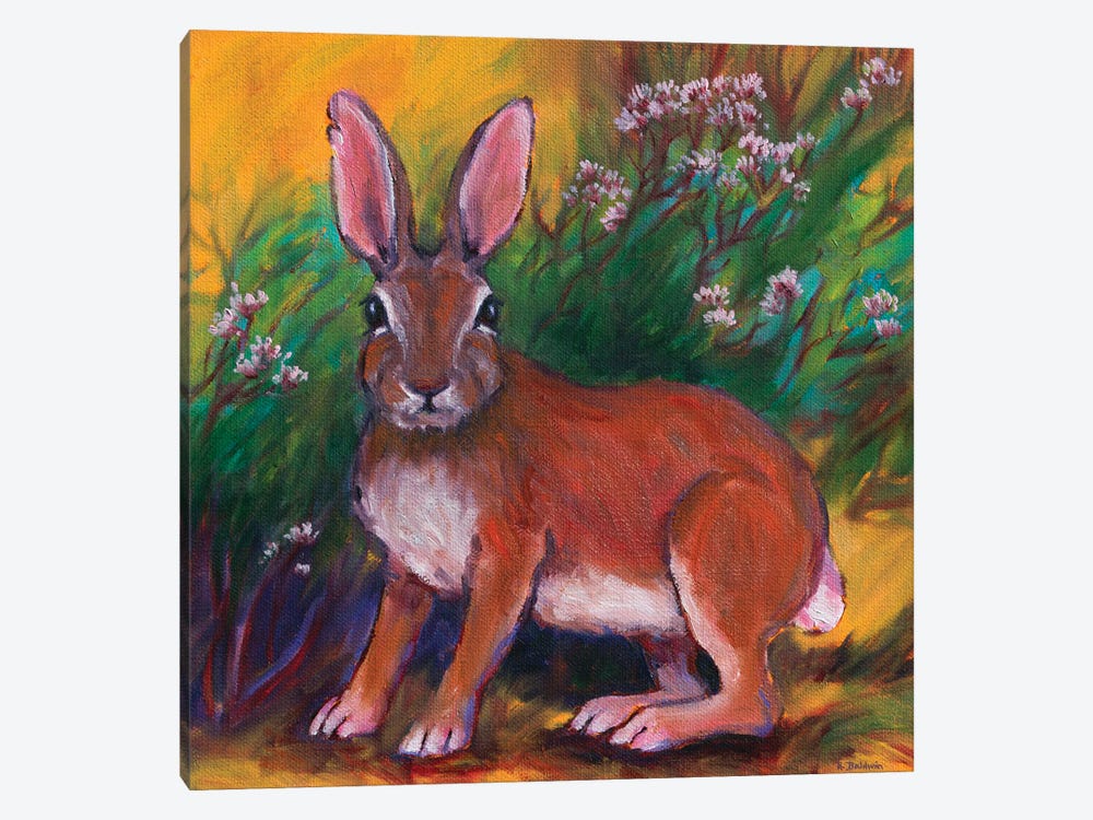 Backyard Bunny by Rebecca Baldwin 1-piece Canvas Art