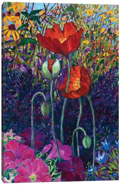 Poppies And Petunias Canvas Art Print - Rebecca Baldwin