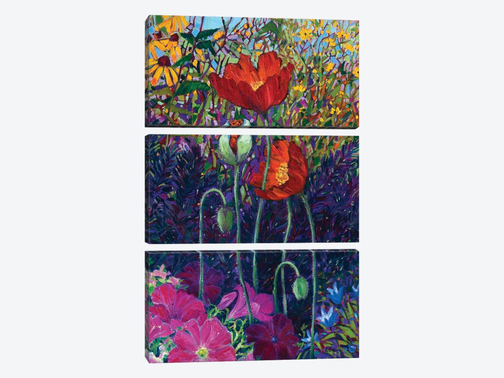Poppies And Petunias by Rebecca Baldwin 3-piece Canvas Artwork