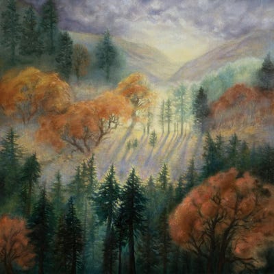 Soft Light by Rebecca Baldwin metal wall art