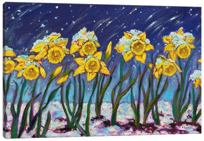 Spring Snow Canvas Art Print