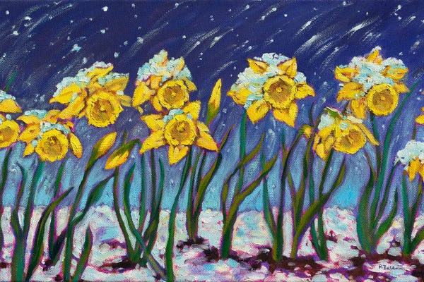 Daffodils: Spring Snow by Rebecca Baldwin
