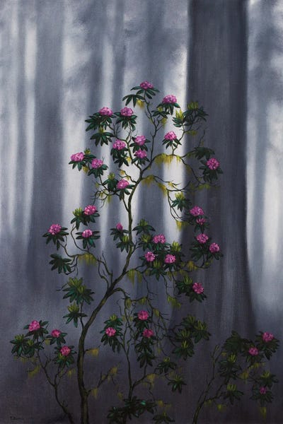 Rebecca Baldwin: Deep Forest Beauty by Rebecca Baldwin