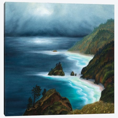 Coastal Moods Canvas Print #RBC78} by Rebecca Baldwin Canvas Artwork