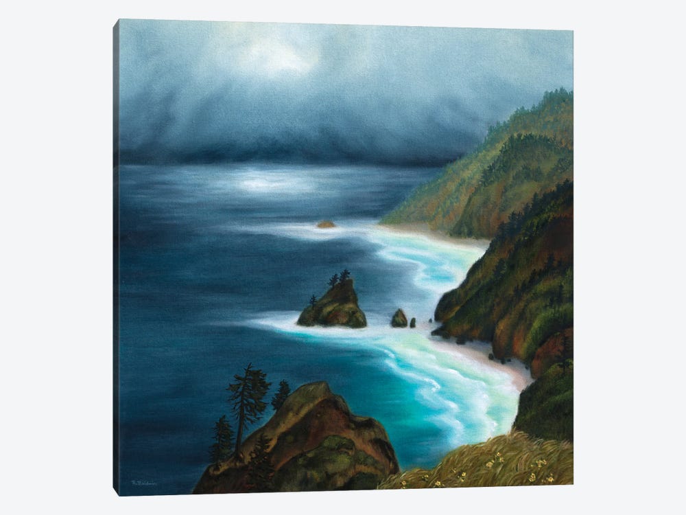 Coastal Moods by Rebecca Baldwin 1-piece Canvas Artwork