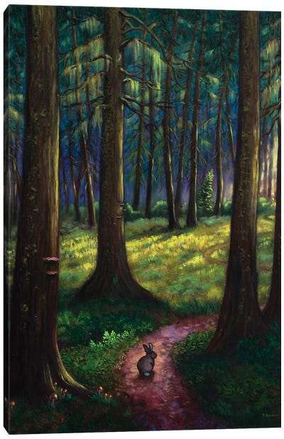 Emerald Forest Canvas Art Print - Rebecca Baldwin