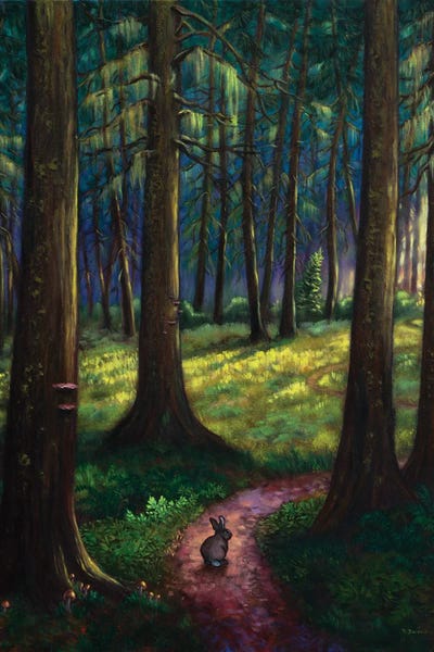 Emerald Forest
