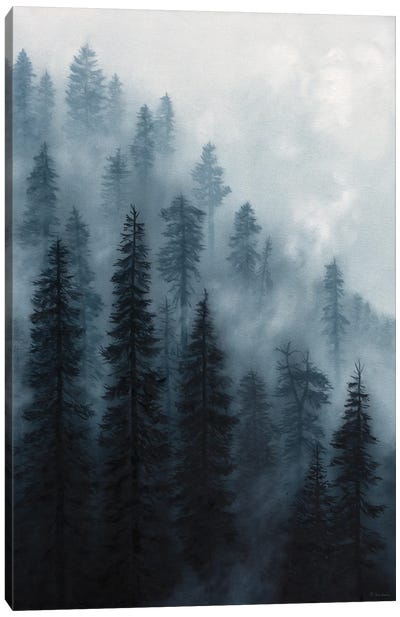 Indigo Mist Canvas Art Print - Mist & Fog Art