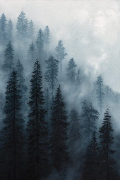 Pine Trees: Indigo Mist by Rebecca Baldwin