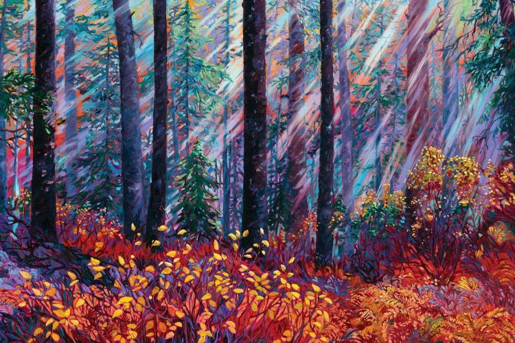 Forest Cathedral by Rebecca Baldwin wall art