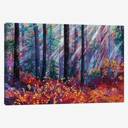 Forest Cathedral Canvas Print #RBC8} by Rebecca Baldwin Canvas Wall Art